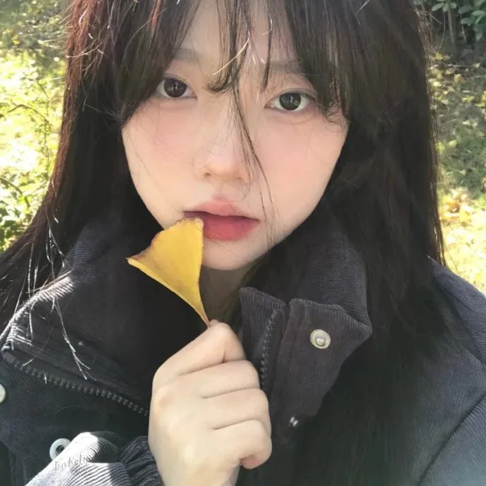 命运冠位指定：序章